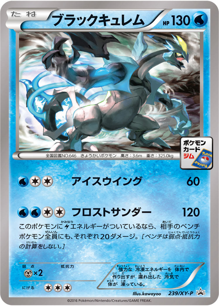 〔状態B〕ブラックキュレム【P】{239/XY-P}