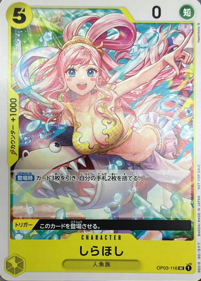 しらほし(illust:Hashimoto Q)