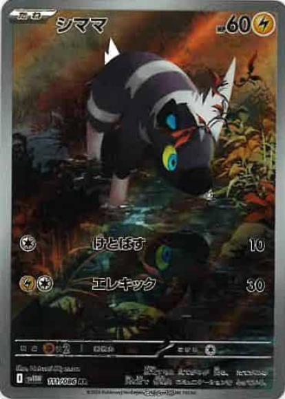 シママ(AR)
