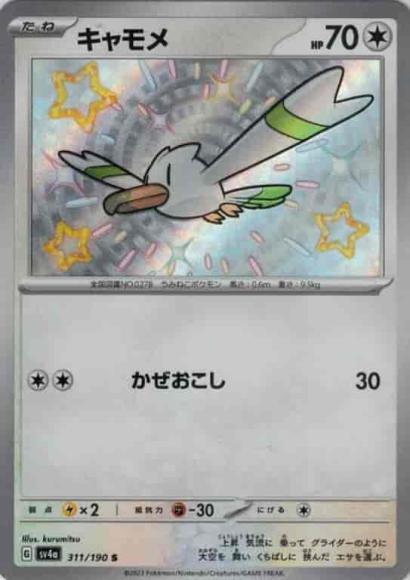 Wingull (S)