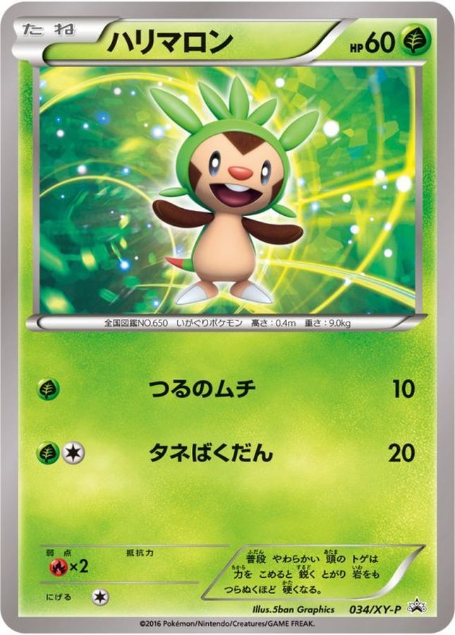 Chespin [P] {034/XY-P}