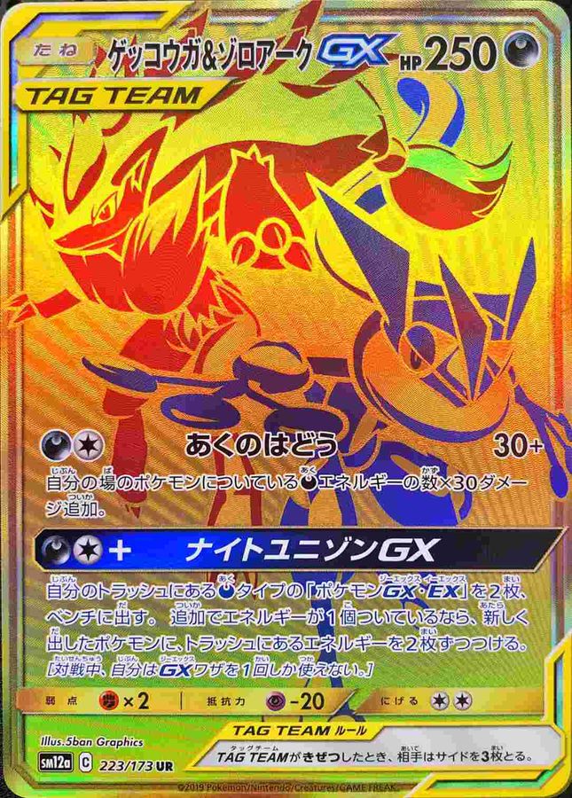〔状態B〕ゲッコウガ＆ゾロアークGX【UR】{223/173}