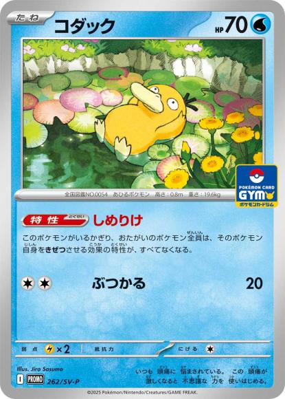 コダック(P)