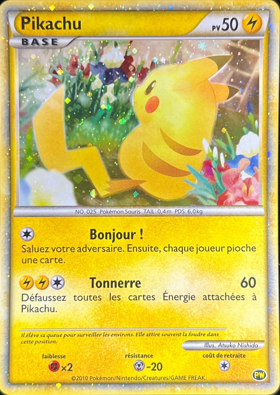 ピカチュウ(フランス)【-】{PW}