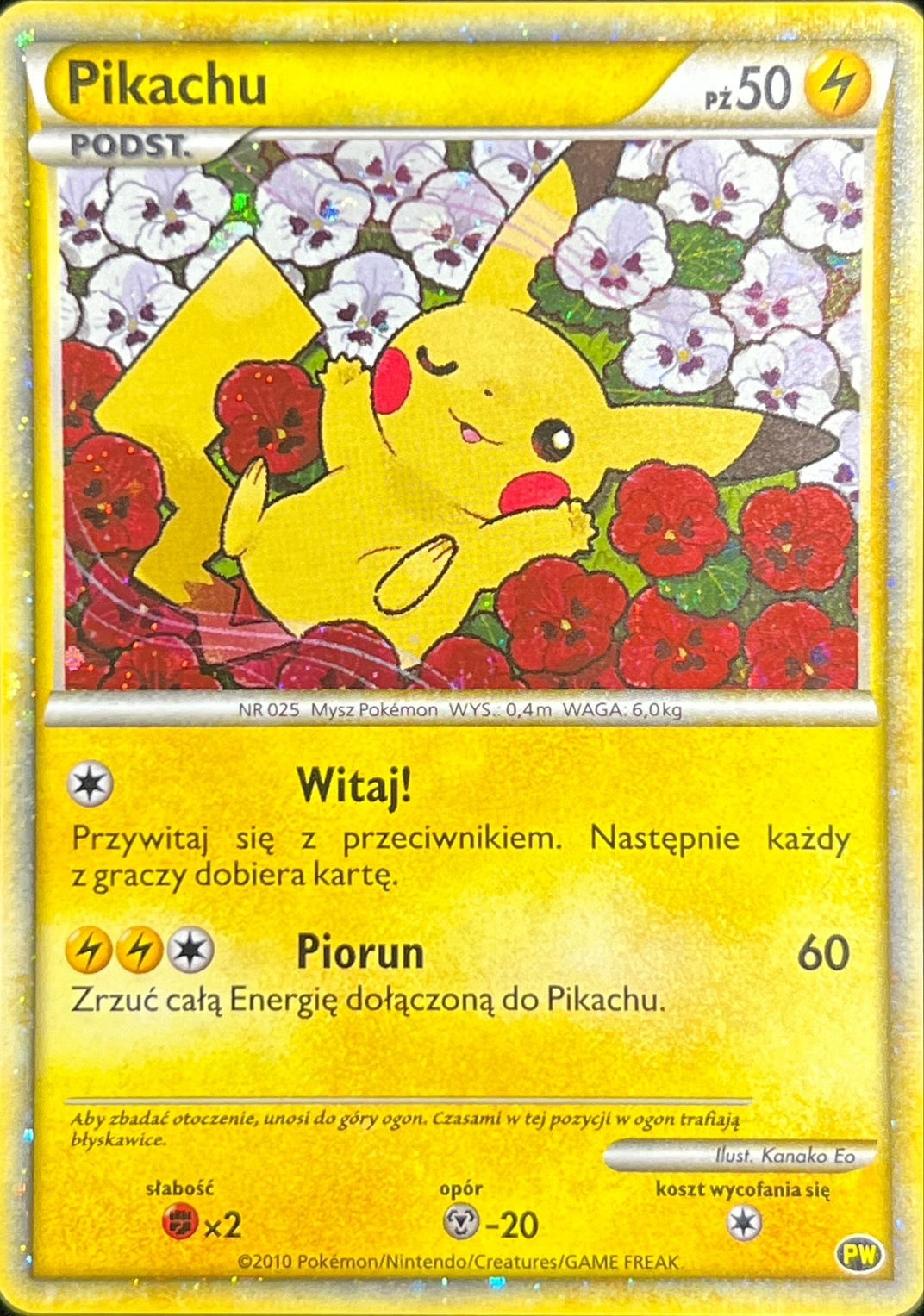 〔状態C〕ピカチュウ(ポーランド)【-】{PW}