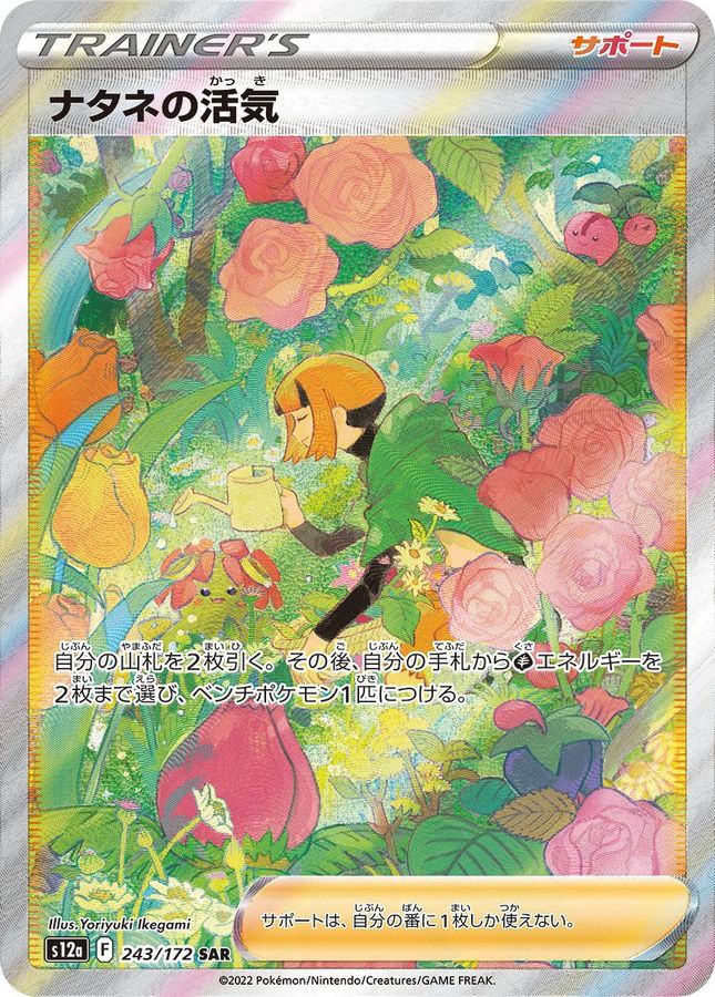 〔状態A-〕ナタネの活気【SAR】{243/172}