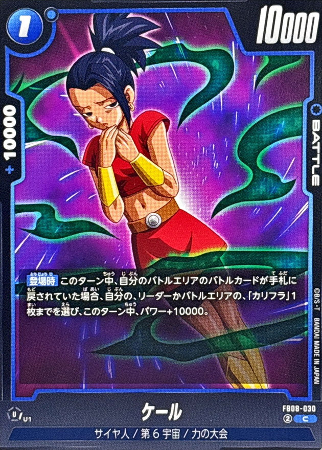 ケール【C】{FB08-030}