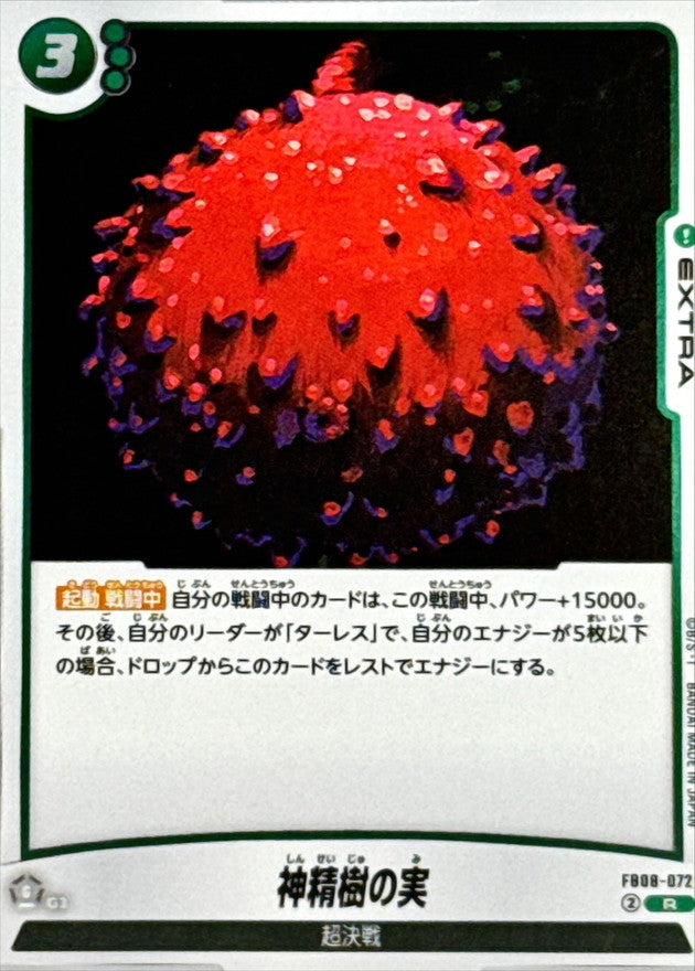 〔状態A-〕神精樹の実【R】{FB08-072}