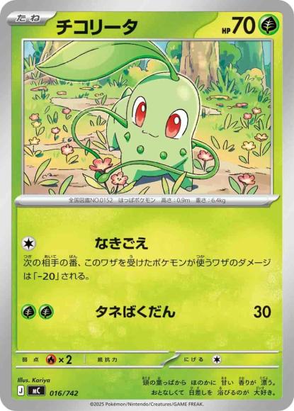 チコリータ(ノーマル仕様)