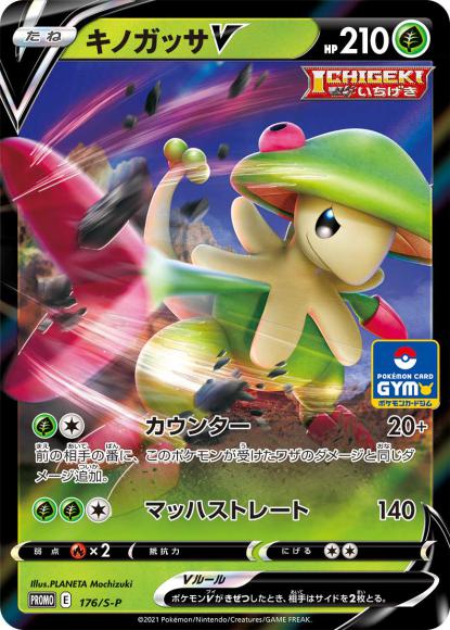 キノガッサV(P) {PK-S-P-176P}