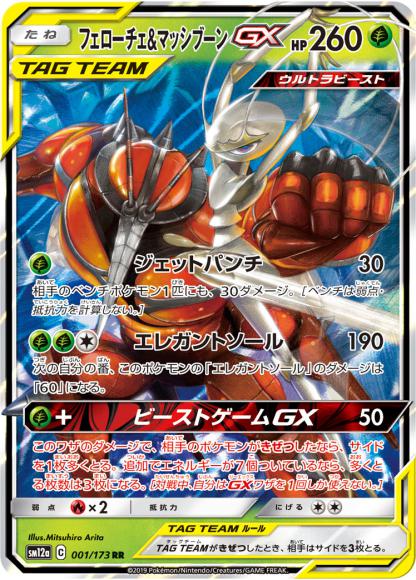Pheromosa & Buzzwole GX (RR)