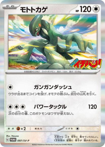モトトカゲ(P)