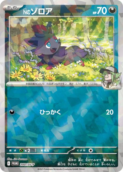 N's Zorua (P)