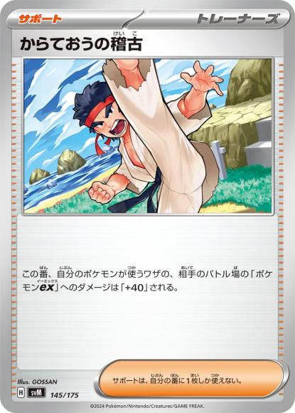 からておうの稽古 {PK-SVM-145}