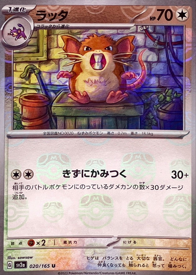 Raticate (Master Ball Mirror)[U]{020/165}