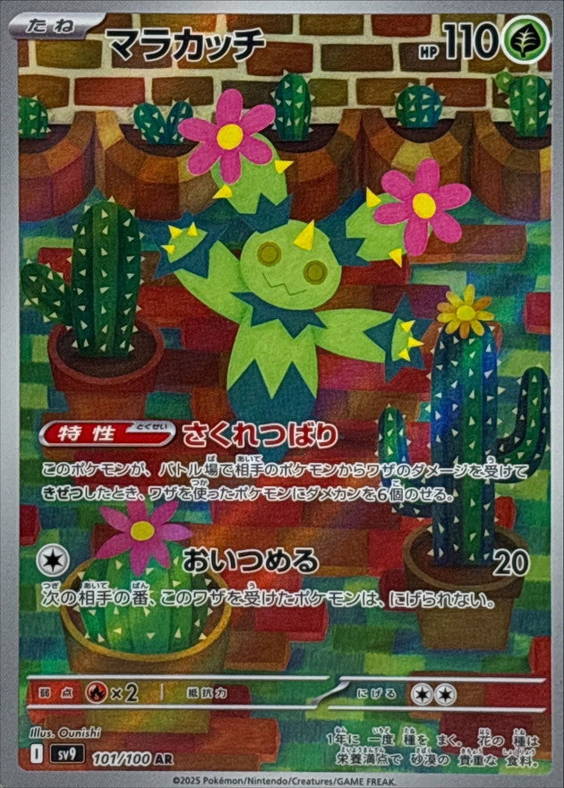 Maractus[AR]{101/100}